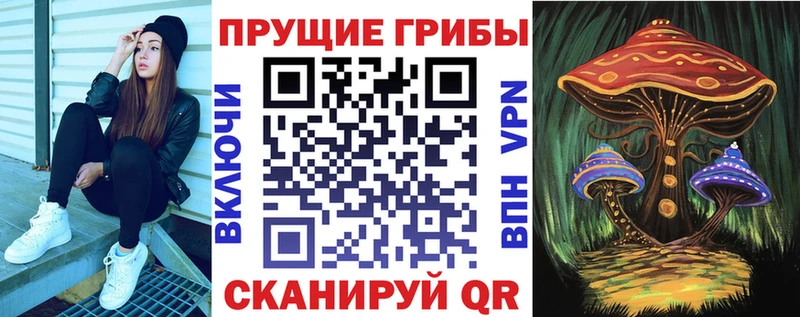 Купить закладки  Урюпинск  Псилоцибиновые грибы прущие грибы 